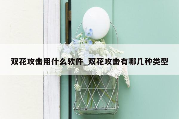 双花攻击用什么软件_双花攻击有哪几种类型