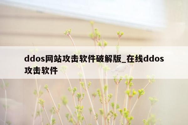 ddos网站攻击软件破解版_在线ddos攻击软件