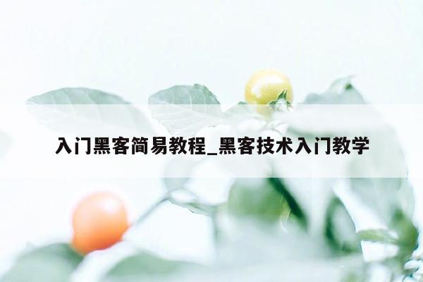 入门黑客简易教程_黑客技术入门教学