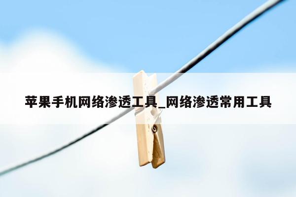 苹果手机网络渗透工具_网络渗透常用工具