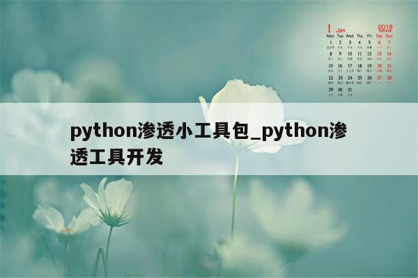 python渗透小工具包_python渗透工具开发