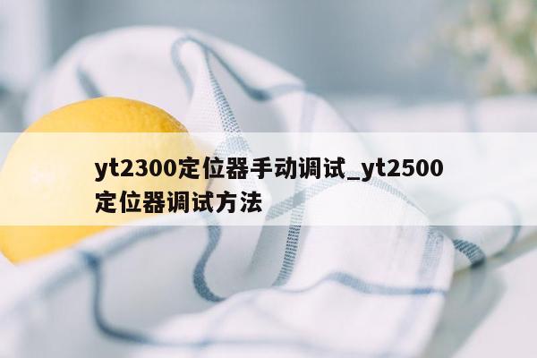 yt2300定位器手动调试_yt2500定位器调试方法