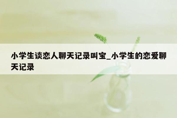 小学生谈恋人聊天记录叫宝_小学生的恋爱聊天记录