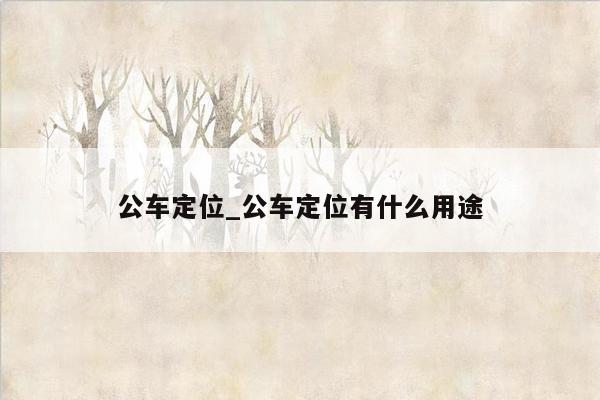 公车定位_公车定位有什么用途