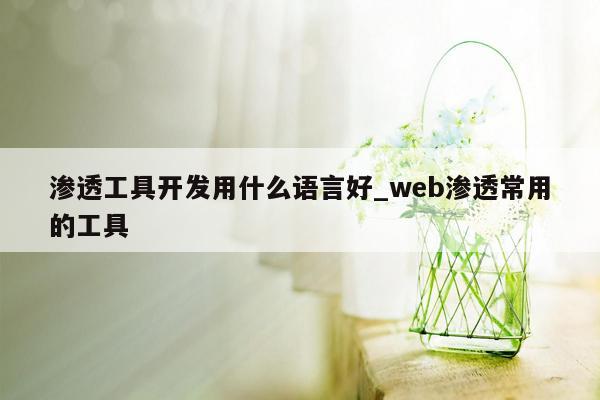 渗透工具开发用什么语言好_web渗透常用的工具