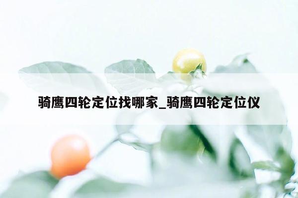骑鹰四轮定位找哪家_骑鹰四轮定位仪