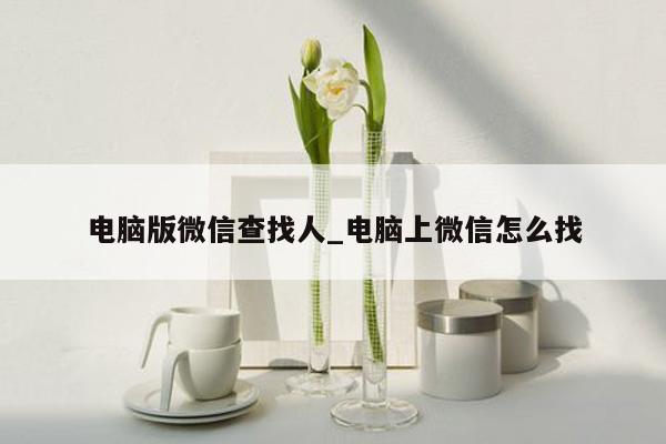 电脑版微信查找人_电脑上微信怎么找