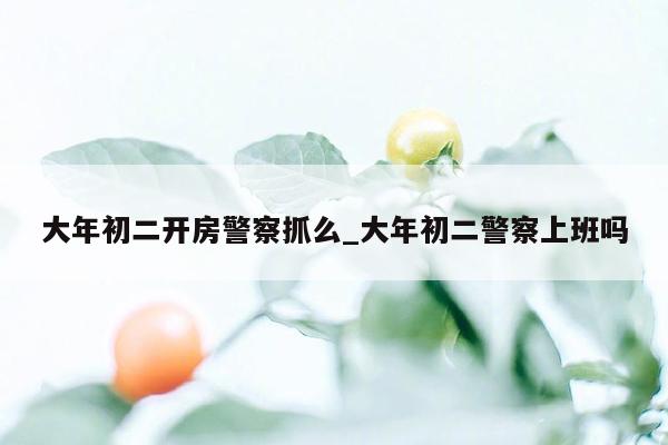 大年初二开房警察抓么_大年初二警察上班吗