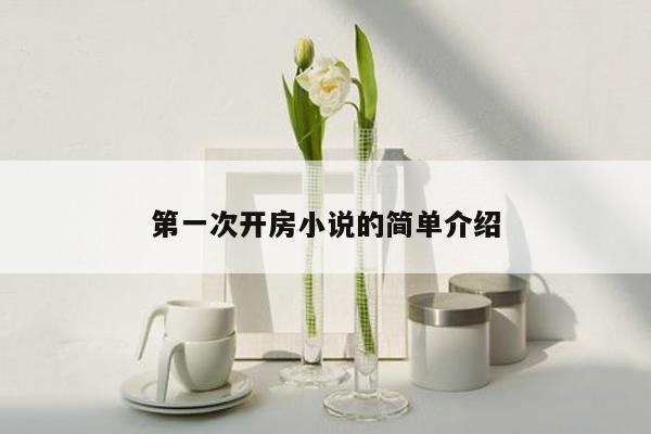 第一次开房小说的简单介绍