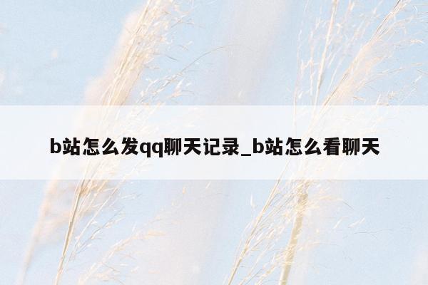 b站怎么发qq聊天记录_b站怎么看聊天