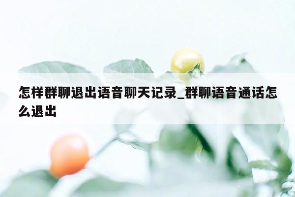 怎样群聊退出语音聊天记录_群聊语音通话怎么退出