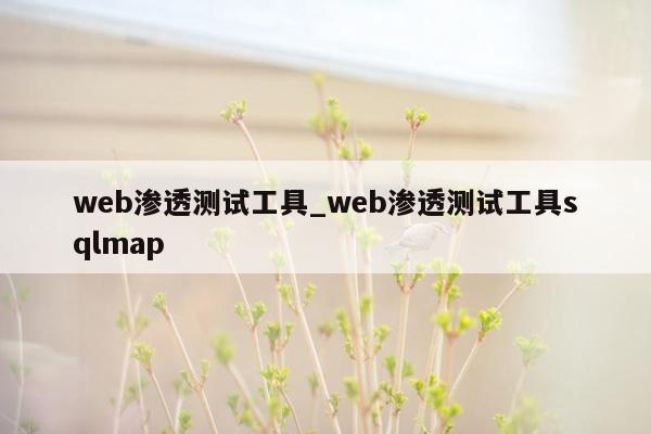 web渗透测试工具_web渗透测试工具sqlmap