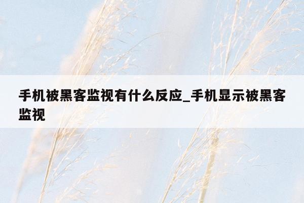 手机被黑客监视有什么反应_手机显示被黑客监视