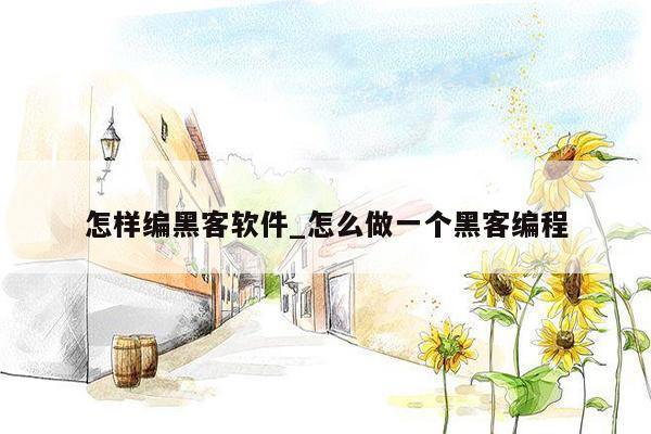 怎样编黑客软件_怎么做一个黑客编程