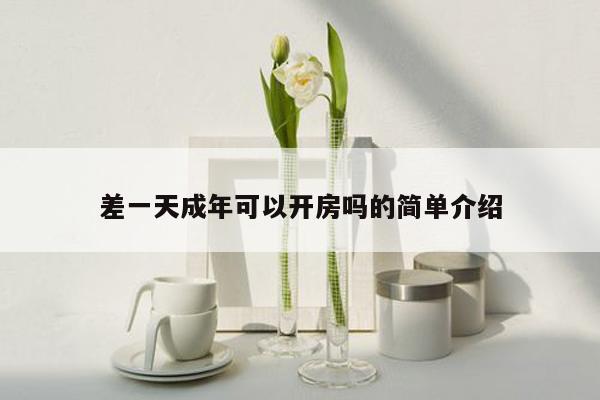 差一天成年可以开房吗的简单介绍
