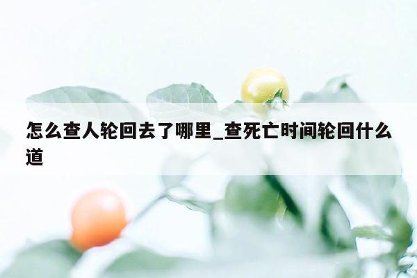 怎么查人轮回去了哪里_查死亡时间轮回什么道