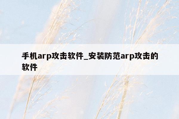 手机arp攻击软件_安装防范arp攻击的软件