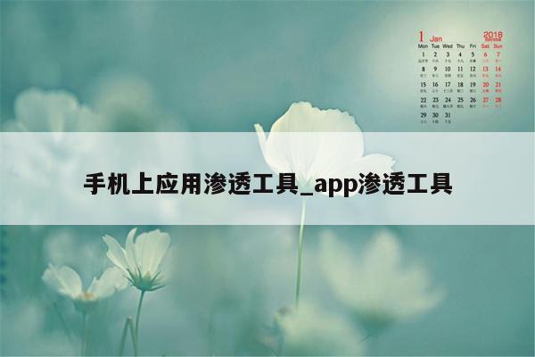 手机上应用渗透工具_app渗透工具