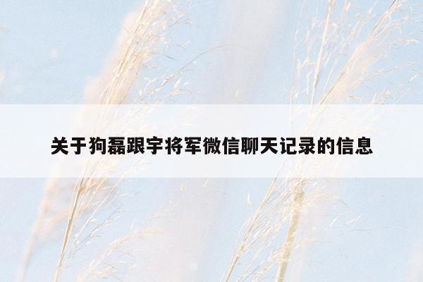 关于狗磊跟宇将军微信聊天记录的信息