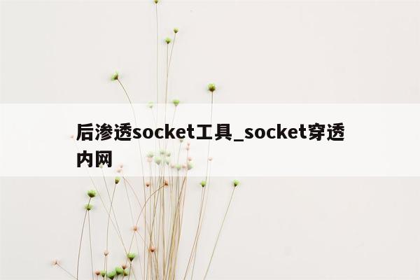 后渗透socket工具_socket穿透内网