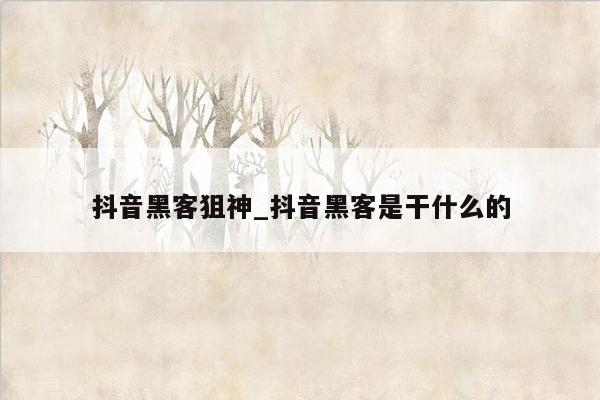 抖音黑客狙神_抖音黑客是干什么的