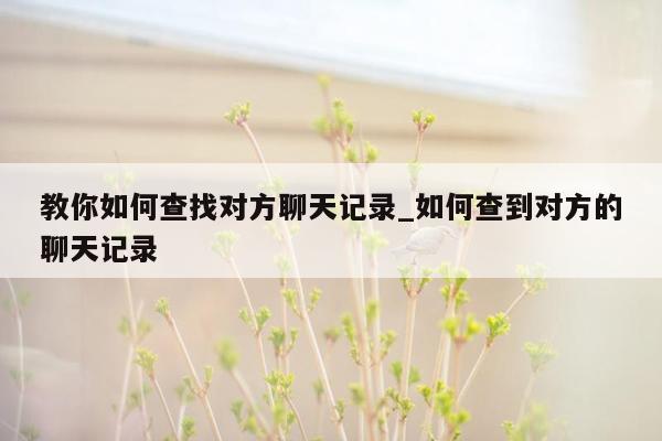 教你如何查找对方聊天记录_如何查到对方的聊天记录