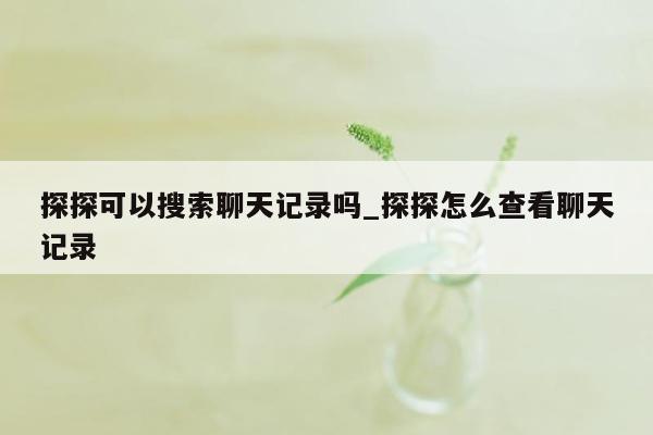 探探可以搜索聊天记录吗_探探怎么查看聊天记录