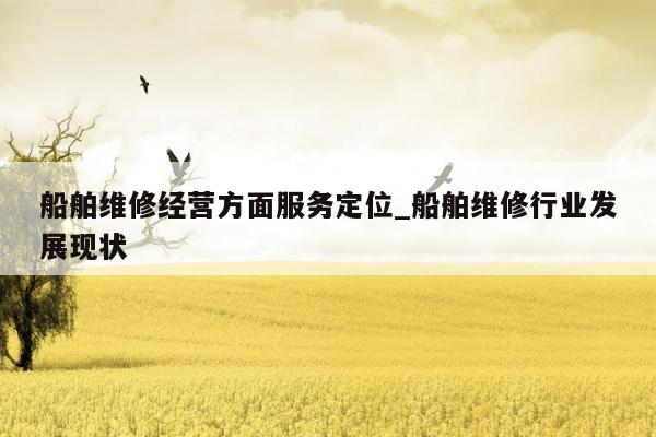 船舶维修经营方面服务定位_船舶维修行业发展现状