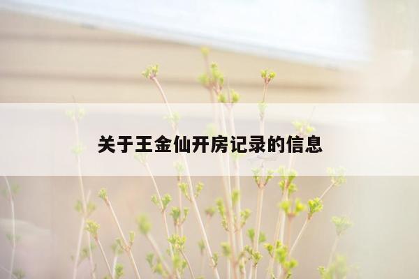 关于王金仙开房记录的信息