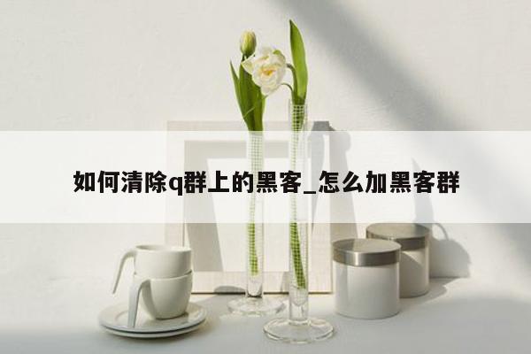 如何清除q群上的黑客_怎么加黑客群