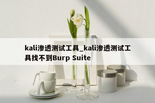 kali渗透测试工具_kali渗透测试工具找不到Burp Suite