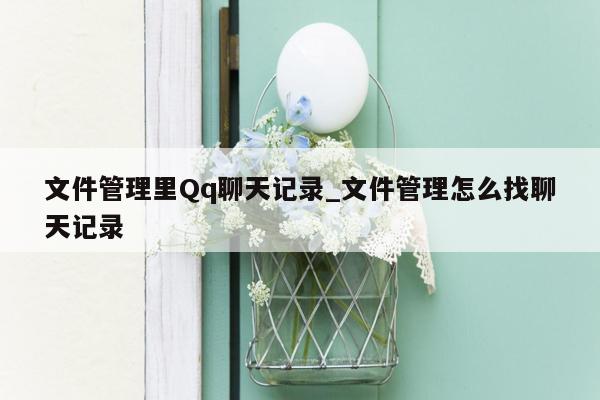 文件管理里Qq聊天记录_文件管理怎么找聊天记录