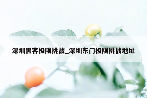深圳黑客极限挑战_深圳东门极限挑战地址