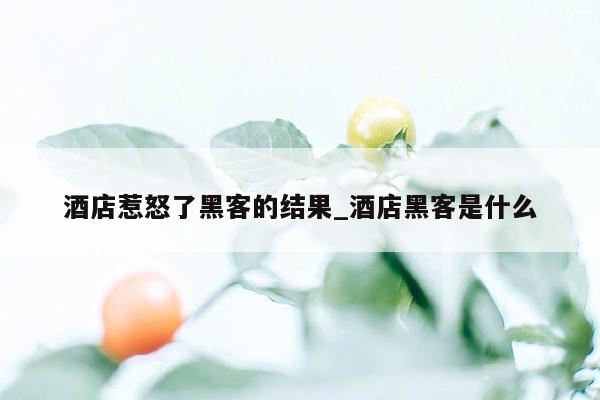 酒店惹怒了黑客的结果_酒店黑客是什么