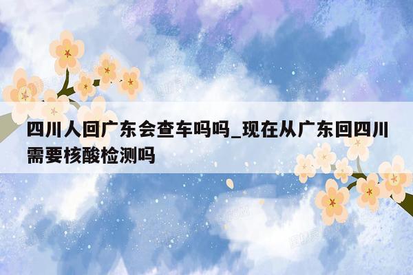 四川人回广东会查车吗吗_现在从广东回四川需要核酸检测吗