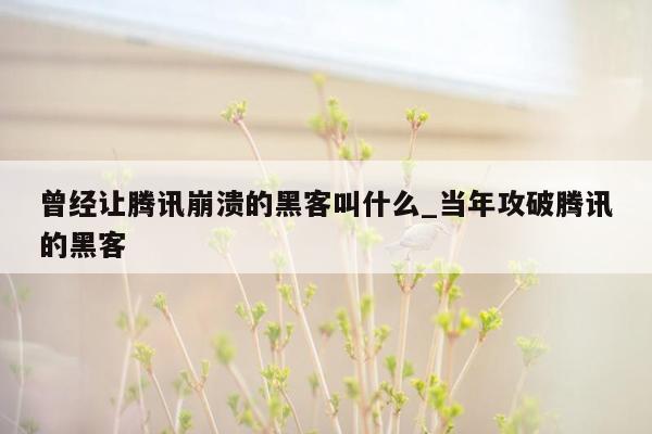 曾经让腾讯崩溃的黑客叫什么_当年攻破腾讯的黑客