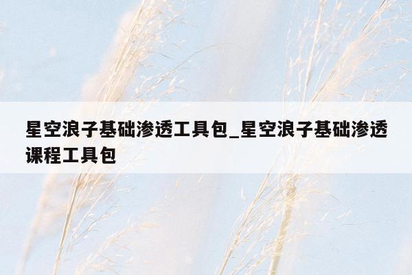 星空浪子基础渗透工具包_星空浪子基础渗透课程工具包