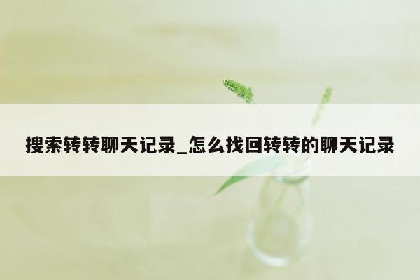 搜索转转聊天记录_怎么找回转转的聊天记录