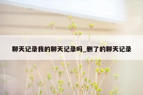 聊天记录我的聊天记录吗_删了的聊天记录