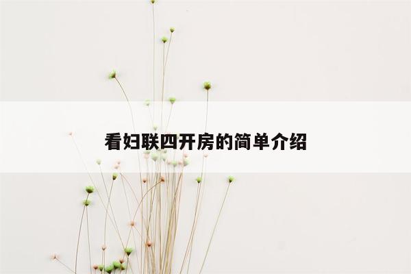 看妇联四开房的简单介绍