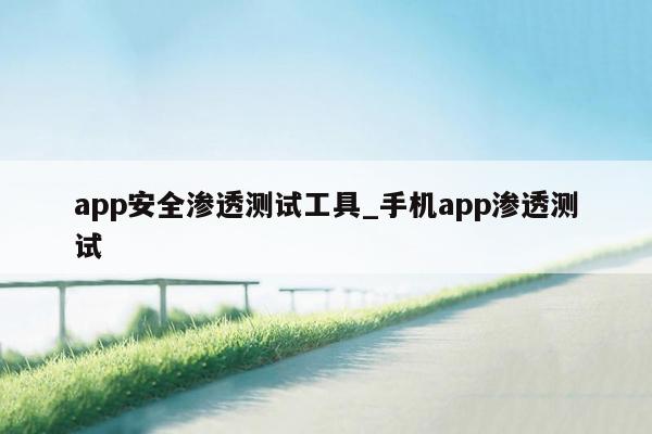 app安全渗透测试工具_手机app渗透测试