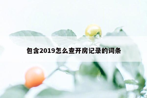 包含2019怎么查开房记录的词条
