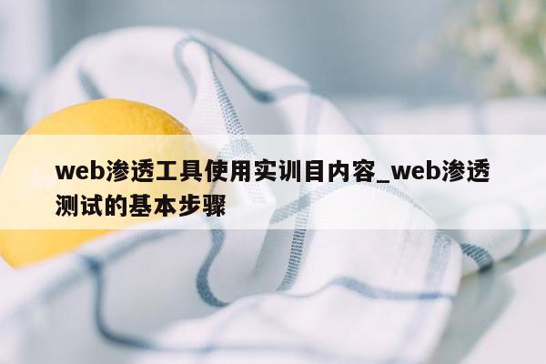 web渗透工具使用实训目内容_web渗透测试的基本步骤