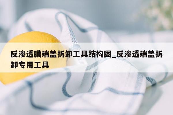 反渗透膜端盖拆卸工具结构图_反渗透端盖拆卸专用工具