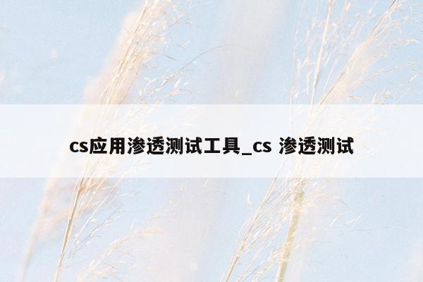 cs应用渗透测试工具_cs 渗透测试