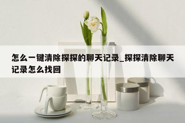 怎么一键清除探探的聊天记录_探探清除聊天记录怎么找回