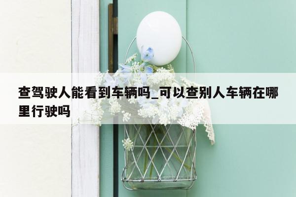 查驾驶人能看到车辆吗_可以查别人车辆在哪里行驶吗