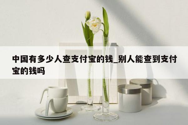 中国有多少人查支付宝的钱_别人能查到支付宝的钱吗