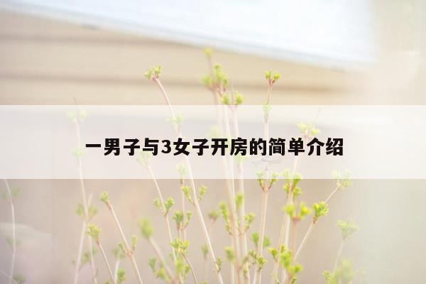 一男子与3女子开房的简单介绍