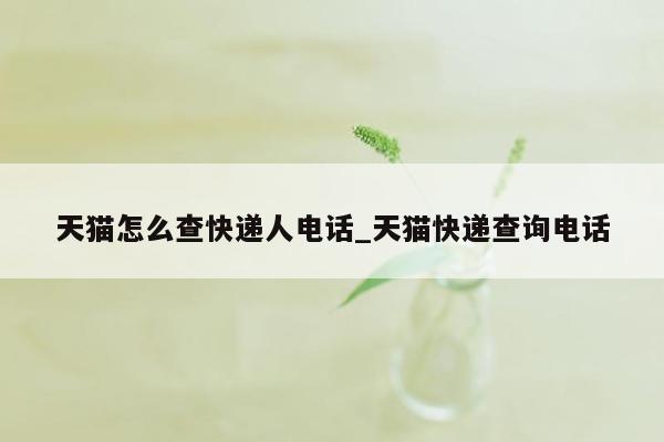 天猫怎么查快递人电话_天猫快递查询电话